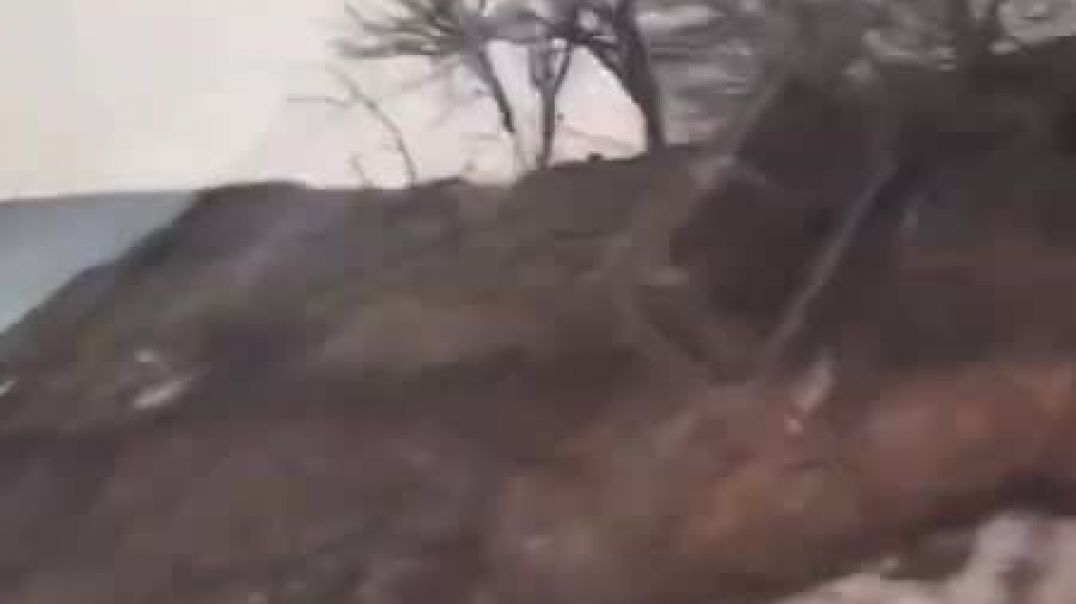 Ադրբեջանցիները կտրել են Գորիս-Կապան ավտոճանապարհի հարակից անտառների ծառերը՝ վաճառելով փայտը