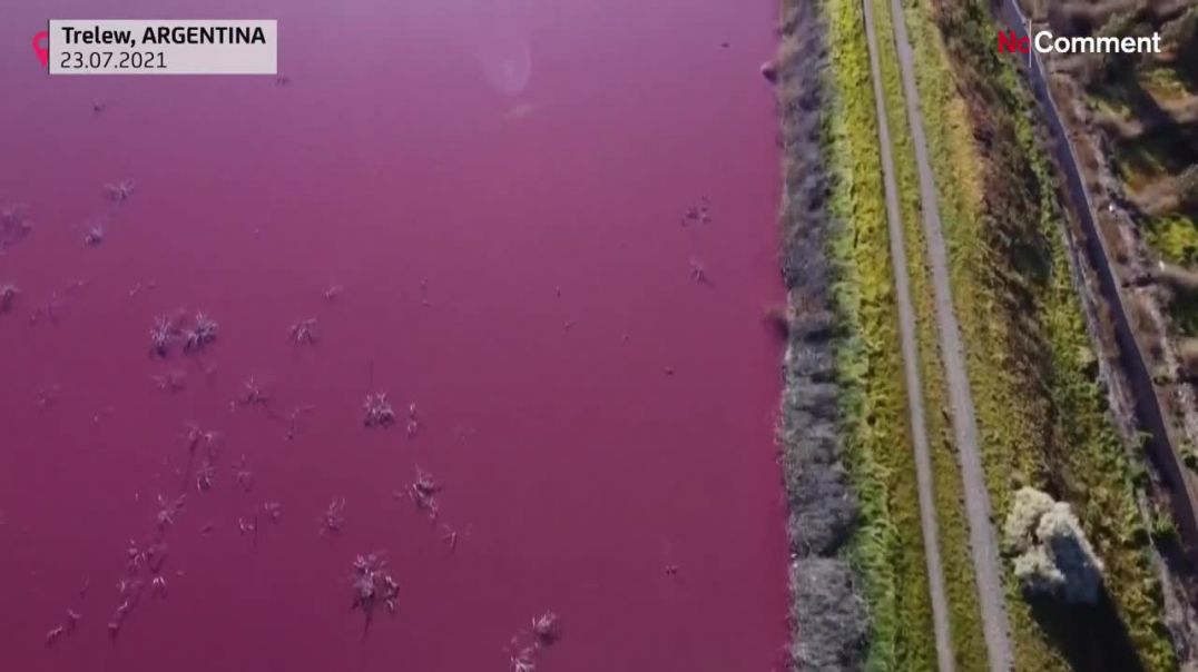 Lagoon in Argentine Patagonia turns pink due to pollution