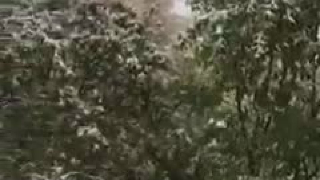249190491_773323316856144_1423108281424379904_n