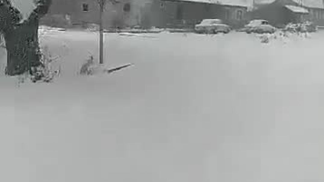 յվհյ