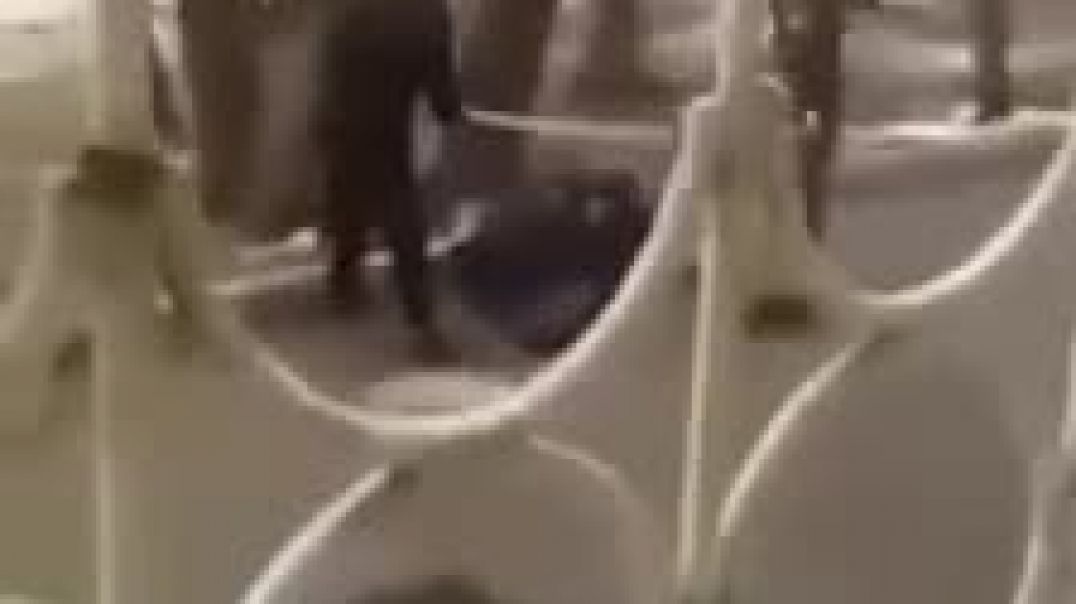 Ծեծ