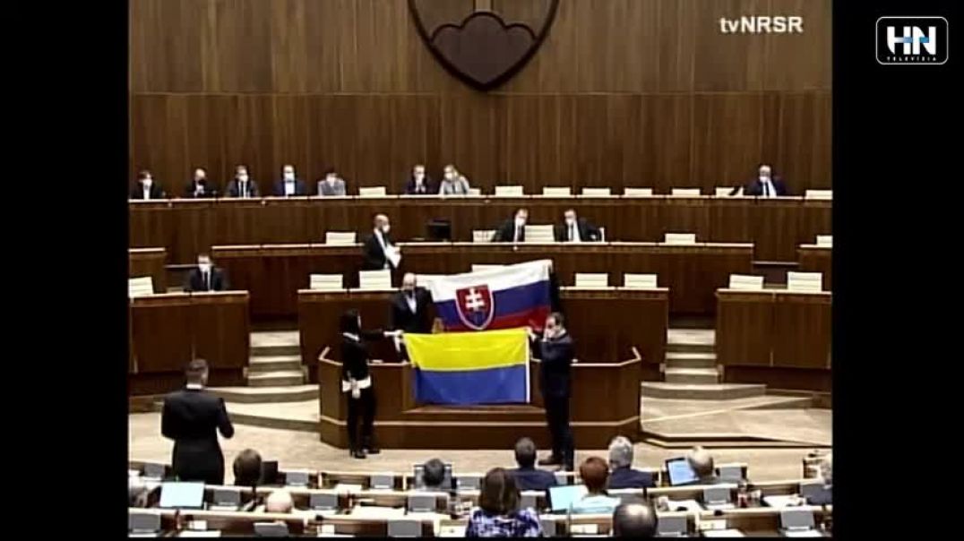 d7dfd817-0d2c-4e65-acd3-d44397e36765-mp4_480p