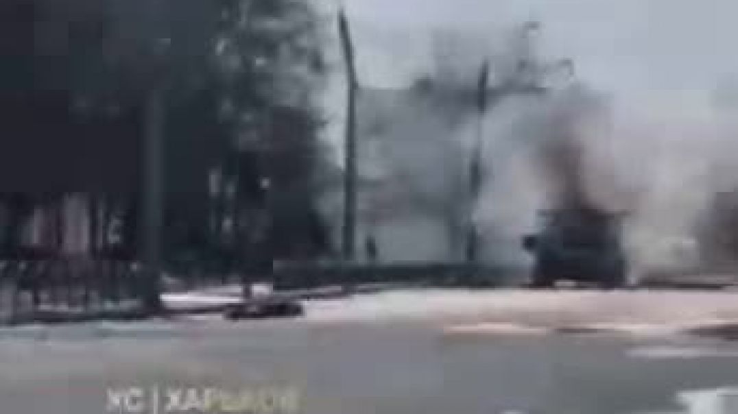 video5251288519468389989