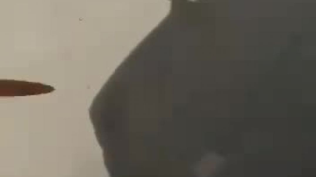 ՎՎՎ
