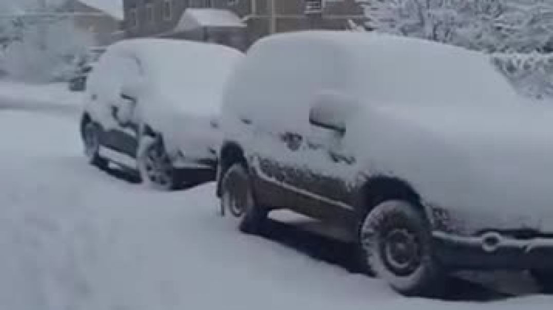 գյմկգկ