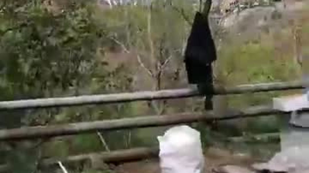 10000000_355048766591077_4212711316814287333_n