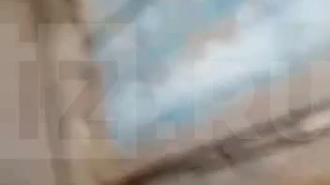 Белый_медведь_в_поселке_Диксон_в_Красноярском_крае