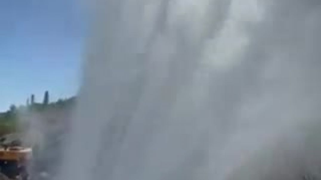 Վիոլիա