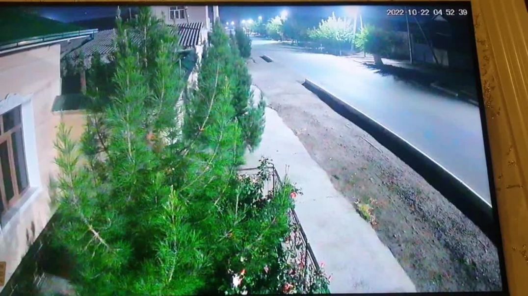 Ուզբեկստանն