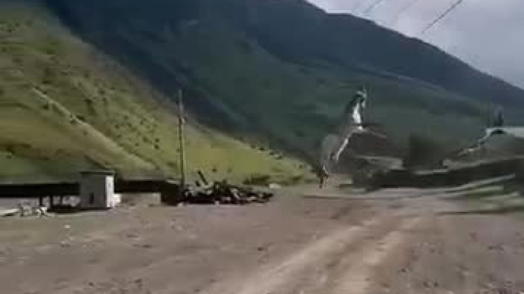 Այծ