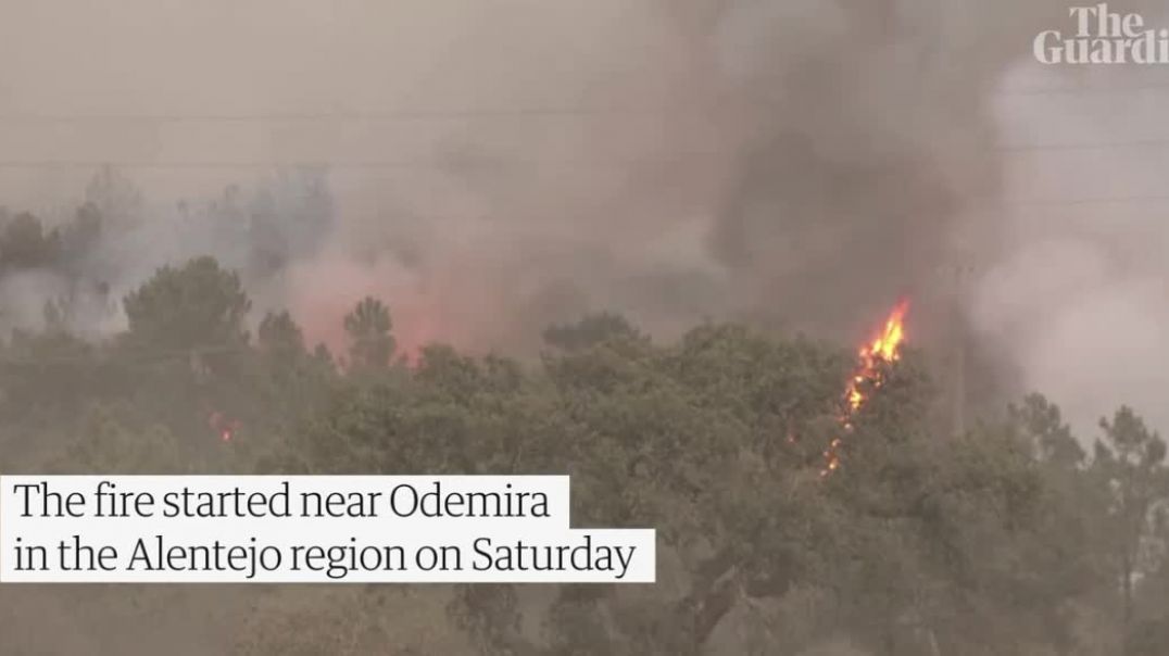 ՏԵՍԱՆՅՈՒԹ. Երեք խոշոր հրդեհ է բռնկվել Պորտուգալիայում. այրվել է մոտ 7000 հեկտար տարածք