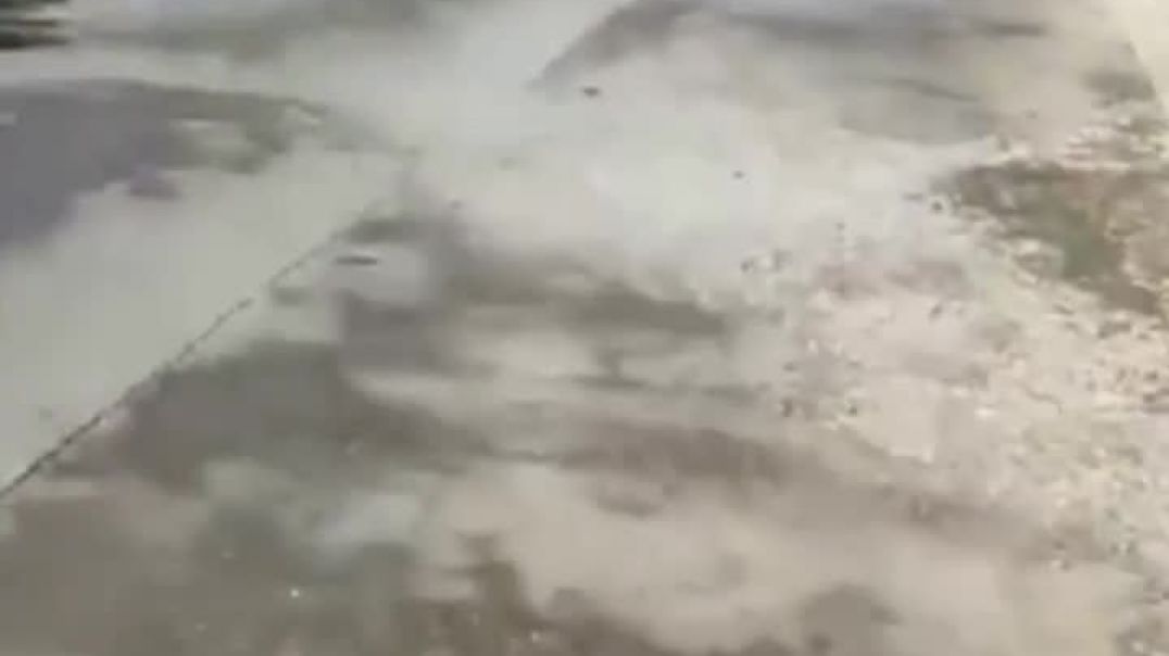 Ռումինյա