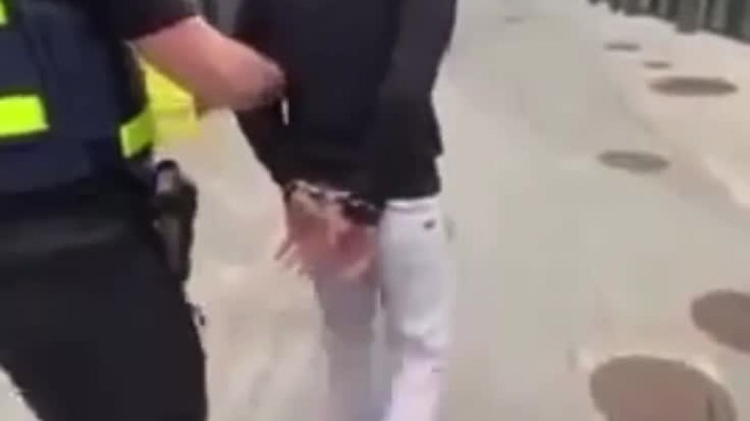 Панин задержан в Эстонии