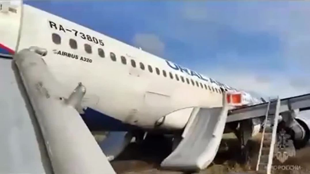 ՏԵՍԱՆՅՈՒԹ. «Ուրալյան ավիաուղիների» ինքնաթիռը վթարային վայրէջք է կատարել Կամենկայի մոտ