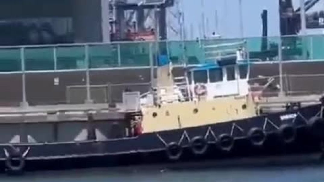 Սիդնեյ քաղաքում պաղեստինյան դրոշներով ցուցարարների նավակները կանխել են իսրայելական բեռնատար նավի մու
