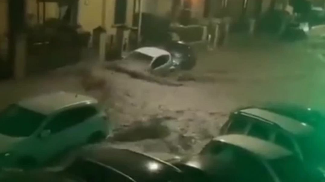 video5343830405973817667