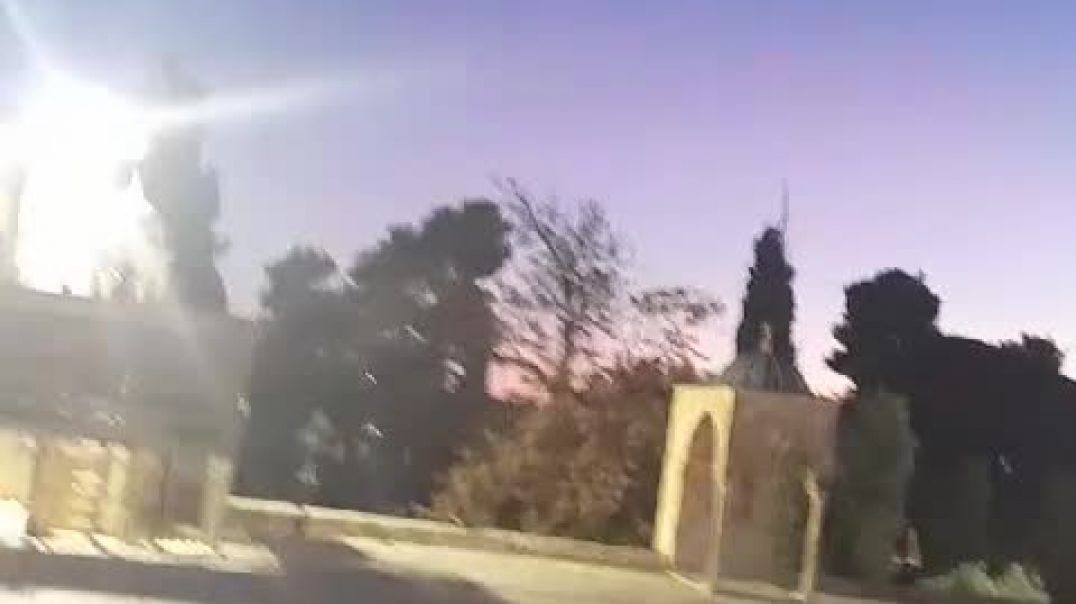hrtir