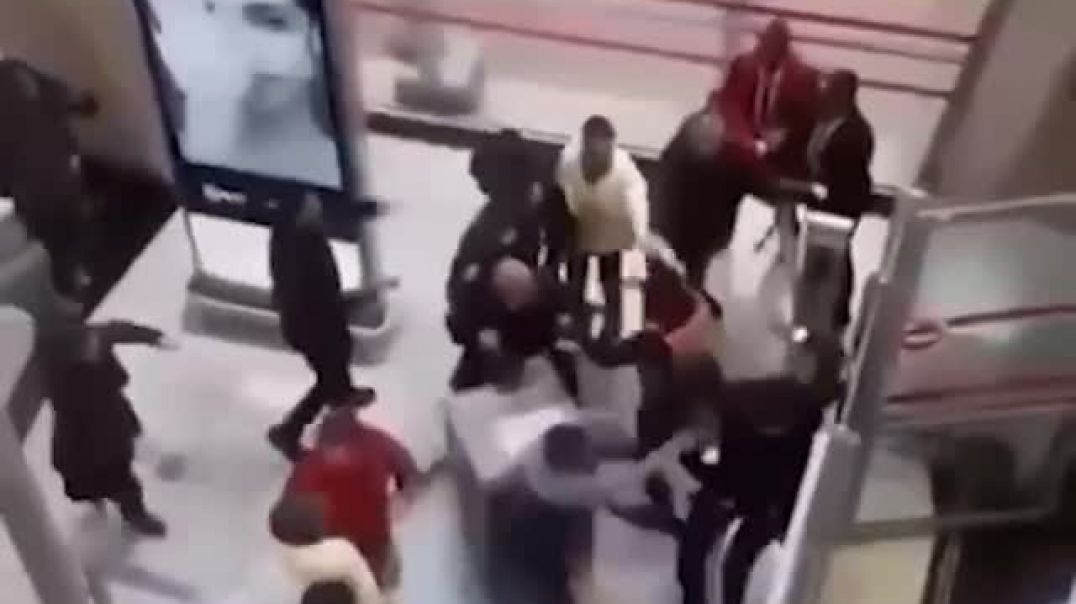 Զանգվածային ծեծկռտուք՝ Փարիզի օդանավակայանում, երբ փորձել են քուրդ ակտիվիստին արտաքսել Թուրքիա