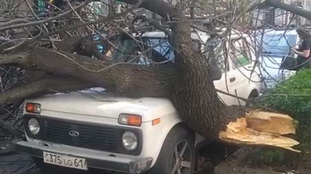 ՏԵՍԱՆՅՈՒԹ` Պուշկինի փողոցից. ծառն ընկել է մայթին մոտ կայանած մեքենայի վրա
