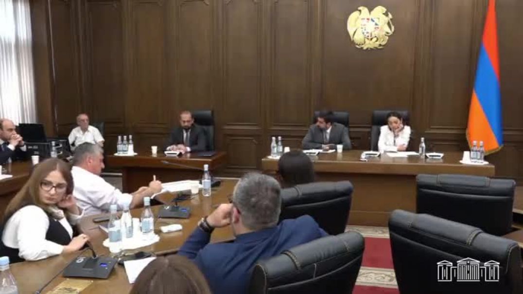 Միրզոյանը` Շենգենյան վիզաների տրամադրման գործընթացի մասին