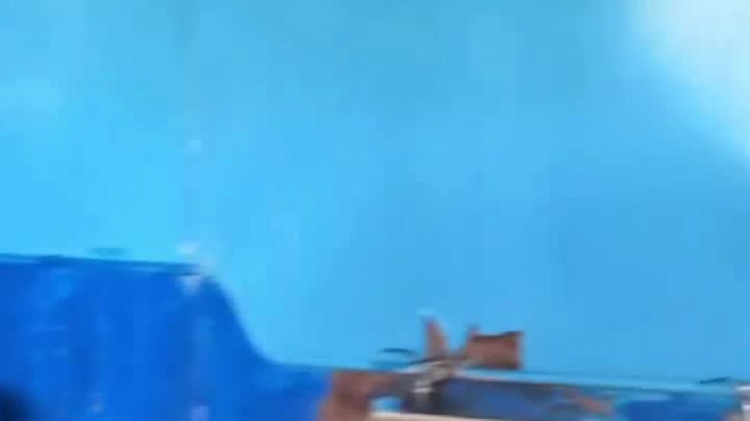 ⁣Մարտուն Գրիգորյան