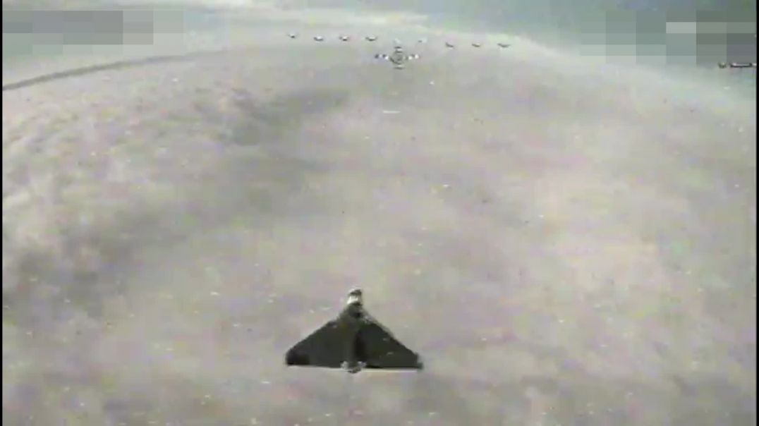 Զելենսկին ցուցադրել է անօդաչու թռչող սարքերի՝ խոցող դրոնների աշխատանքը