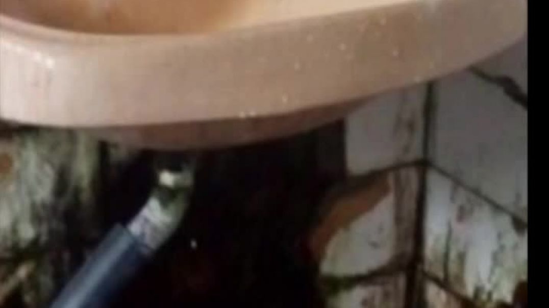 Սա այն սարսափելի ապագան էր, որ կերտել էին մեր երեխաների համար․ Չախոյան