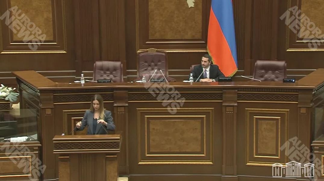 Դուք ինձ այլևս չընդհատեք, խելոք լսեք․ Աննա Գրիգորյանը՝ Ռուբինյանին