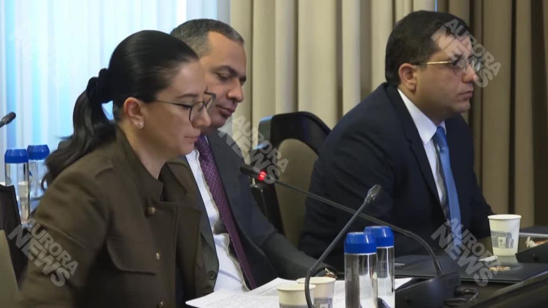 Գործարքները կնքվել են՝ մայրերի, զոքանչների և այլ անձանց անուններով․ Վարդապետյան