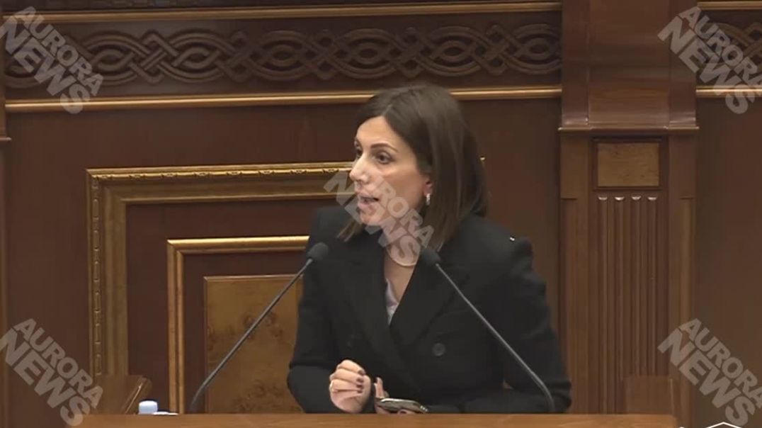 Էս աշխարհում ոչ մի ձրի բան չկա․ Ավանեսյանը՝ առողջության ապահովագրության փաթեթի մասին