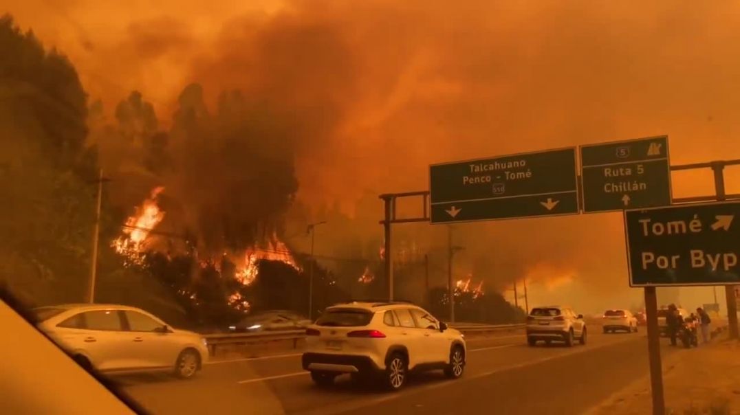 Չիլիիում լայնածավալ անտառային հրդեհներ են