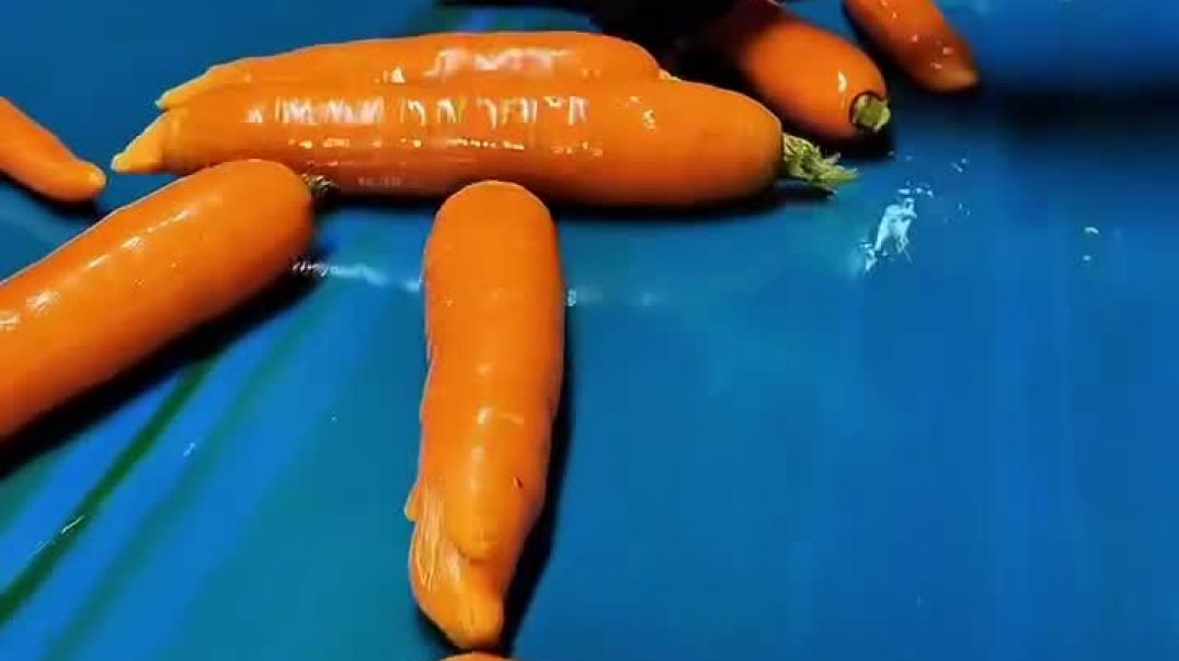 Անակնկալ մեր ընդդիմության համար․ Պապոյան