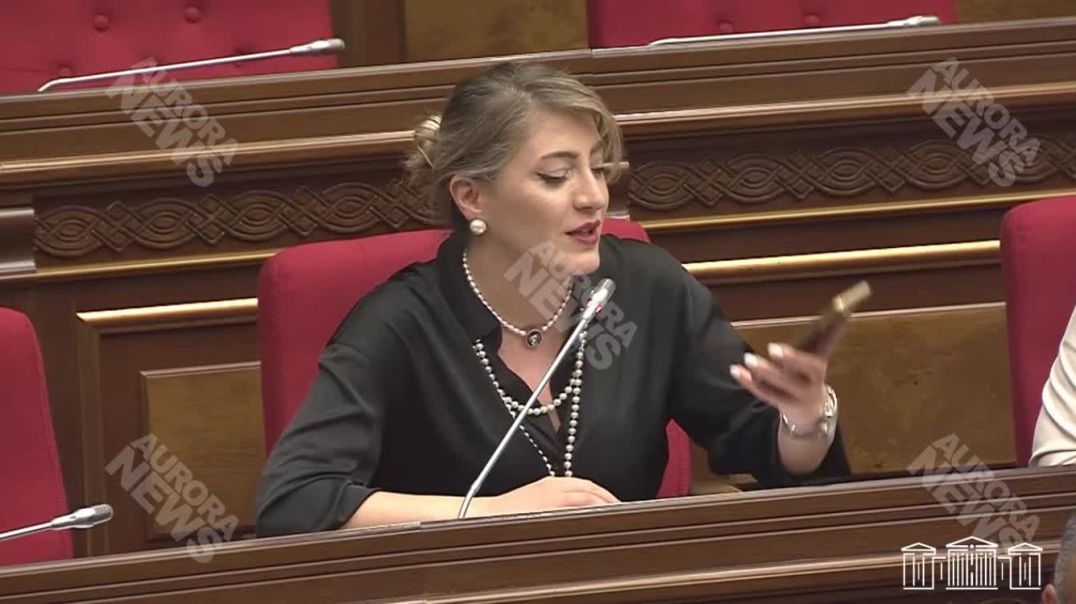 Ոչ մեկը ոչ մեկի սիրուն աչքերի համար, երաշխավություն չի տալիս, իր զինվորների արյունը չի թափում․ Միրզո