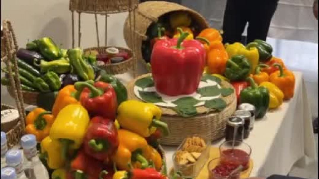 ⁣ՏԵՍԱՆՅՈՒԹ. Հլը փորձեք, միրգ ա. Փաշինյանը պղպեղների մասին