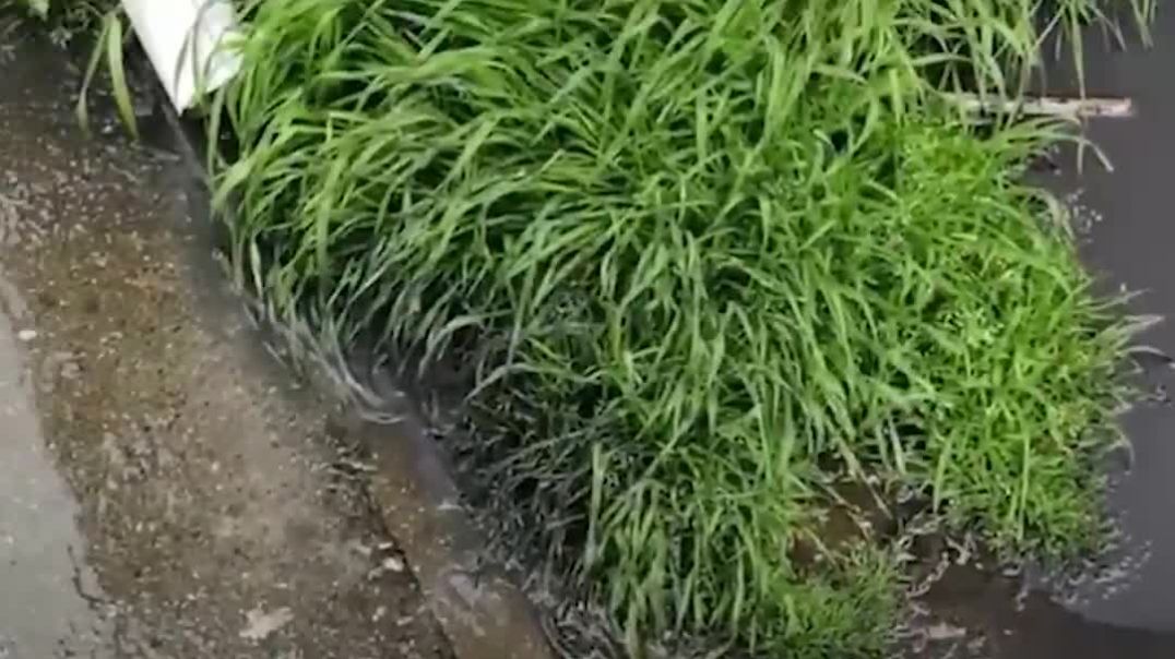 Տուապսեում շարունակվում են «նավթային անձրևները»