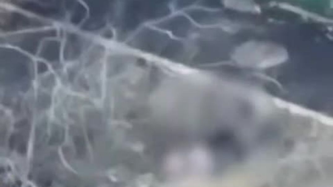 Կիևում հրաձգության ժամանակ ոստիկանները փախչել են դեպքի վայրից