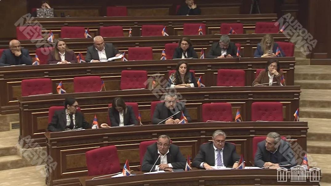 ՏԵՍԱՆՅՈՒԹ․ Լեզվակռիվ ԱԺ-ում․ Էդ խելքին եք, որ էդ օրին եք․ Ալեքսանյան