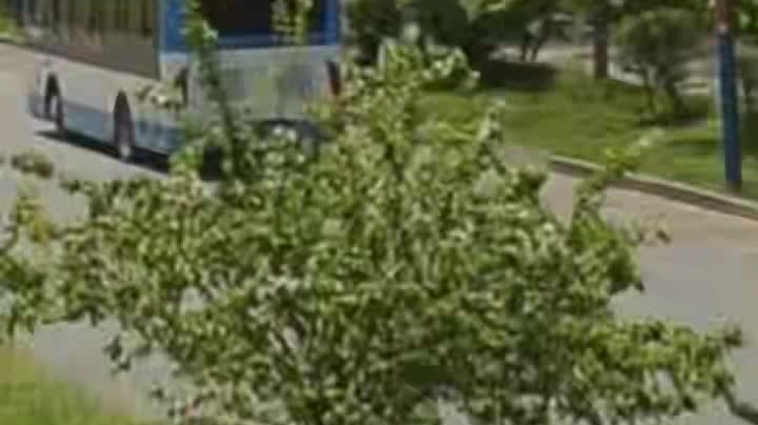 Տասնյակ ծառեր են հատել, այդ թվում` ծաղկած խնձորենի. Էդուարդ Հայրումյան