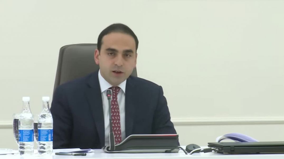 ՏԵՍԱՆՅՈՒԹ. Մենք էդ ավտոտնակները պետք է քանդենք. Ավինյան