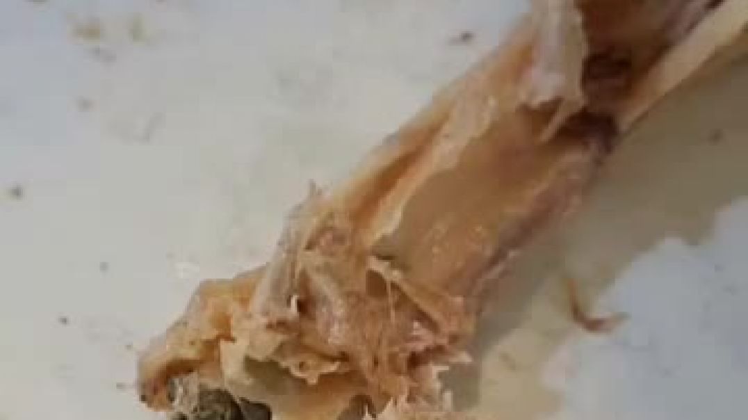 AQM1rcb4LKaZjwd_BQm58szyklbjwh6qP9wONo34rdUfmsAncyWEt0LRaAwMKcChLwJ4