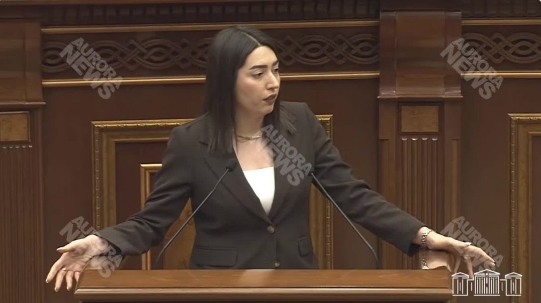 ՏԵՍԱՆՅՈՒԹ․ ՆԳ նախարարը՝ մայթով վարելու դեպքերի մասին