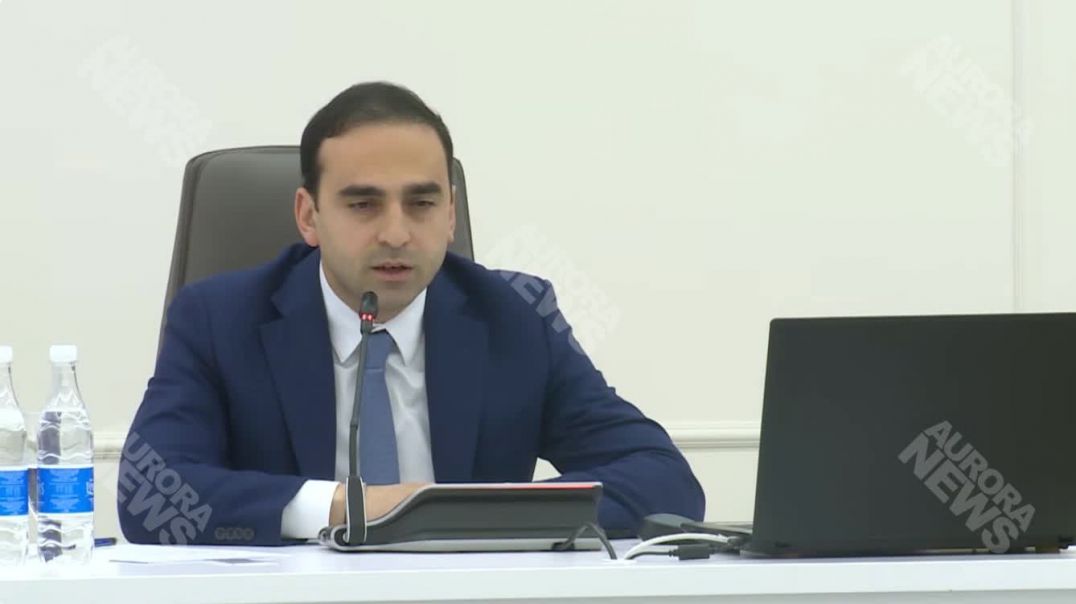 ՏԵՍԱՆՅՈՒԹ․ Այ քեզ բան․ հիմա ամեն մի թափթփուկ կարա բռնության ենթարկի վարորդին․ Ավինյան