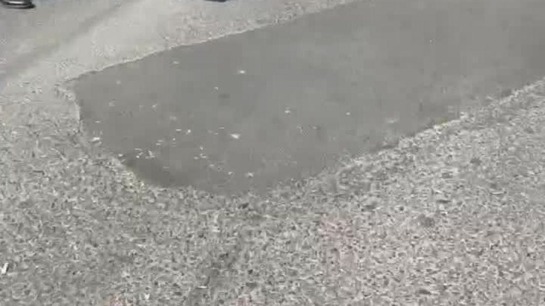 Ինչպես են բերման է ենթարկում «Տաշիր պիցցա» ցանցի տնօրեն Վաղինակ Ղազարյան