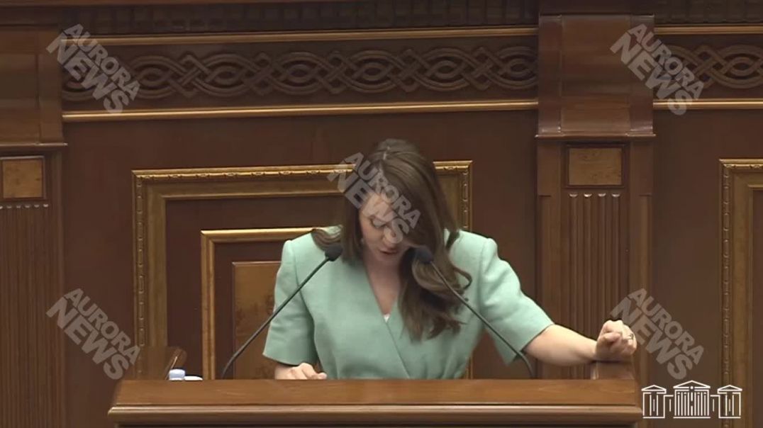 ՏԵՍԱՆՅՈՒԹ․ «Հայաստան դաշինք Սաքուլիկի հետ» կամ  «Գոհարենց չամիչով բուլկի»․ Ղազարյանը՝ ընդդիմությանը